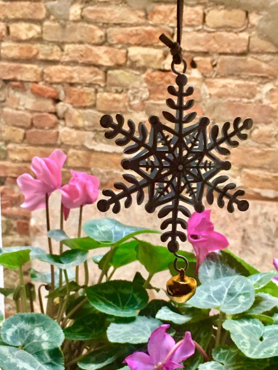 Barbara'S Studios Chioggia Ngoại thất bức ảnh